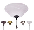 Harbor Breeze 11-in 2 -Light Multiple colors/finishes LED Ceiling Fan Light Kit