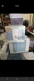Quoizel Baylor 5 Light Chandelier